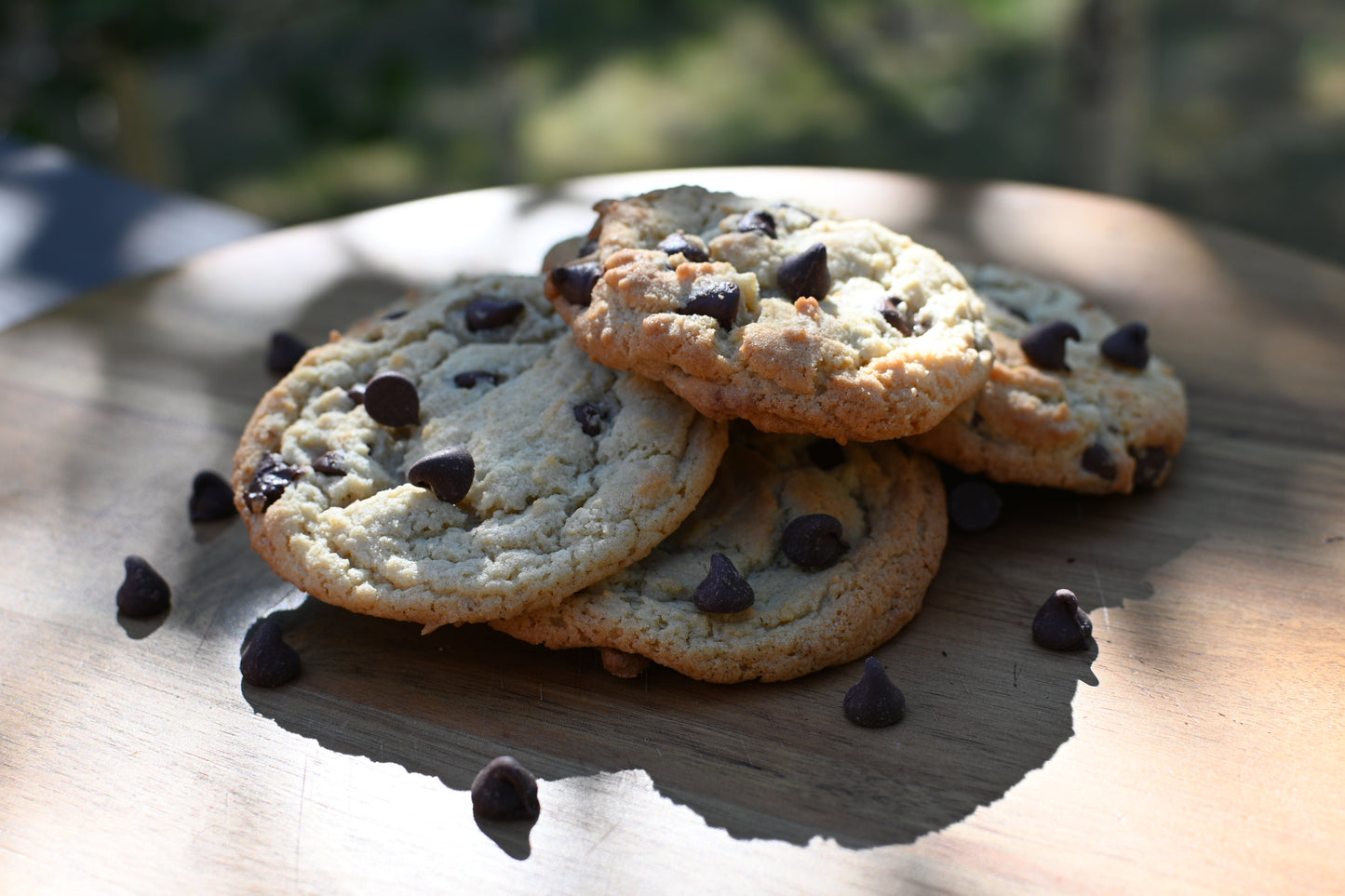 Backcountry Chocolate Chip Pack of 6 cookies