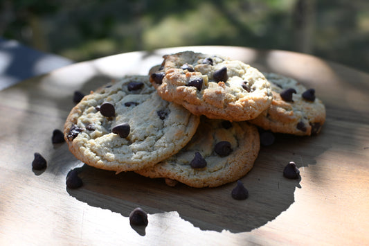 Backcountry Chocolate Chip
