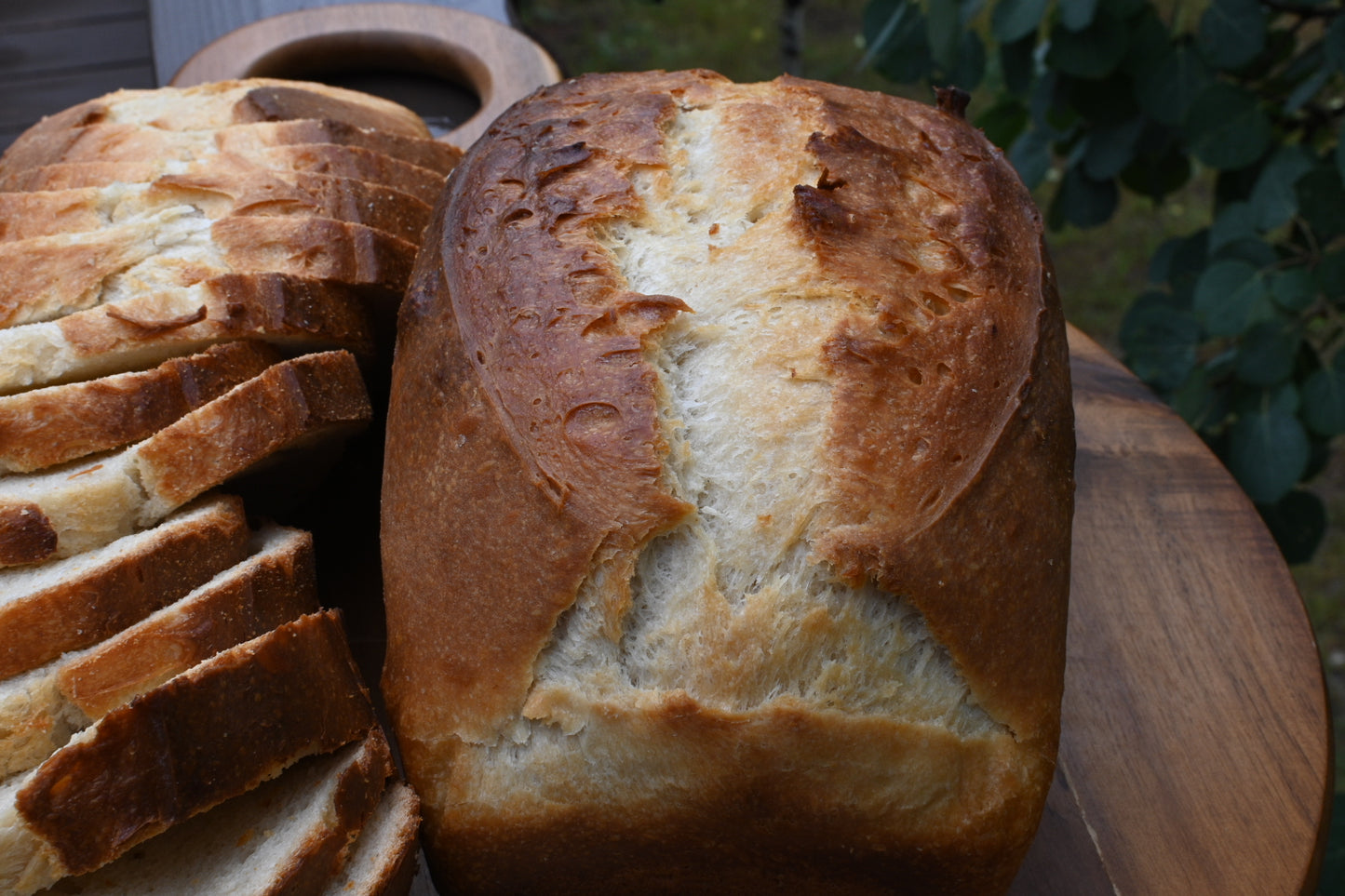 El Pan Blanco the Sandwich Bread